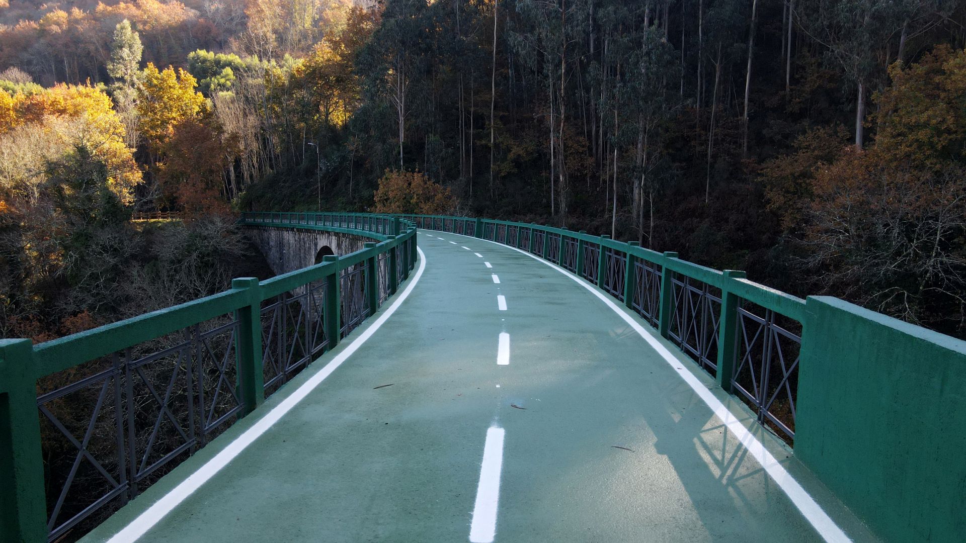 Ecopista do Vouga / Walking