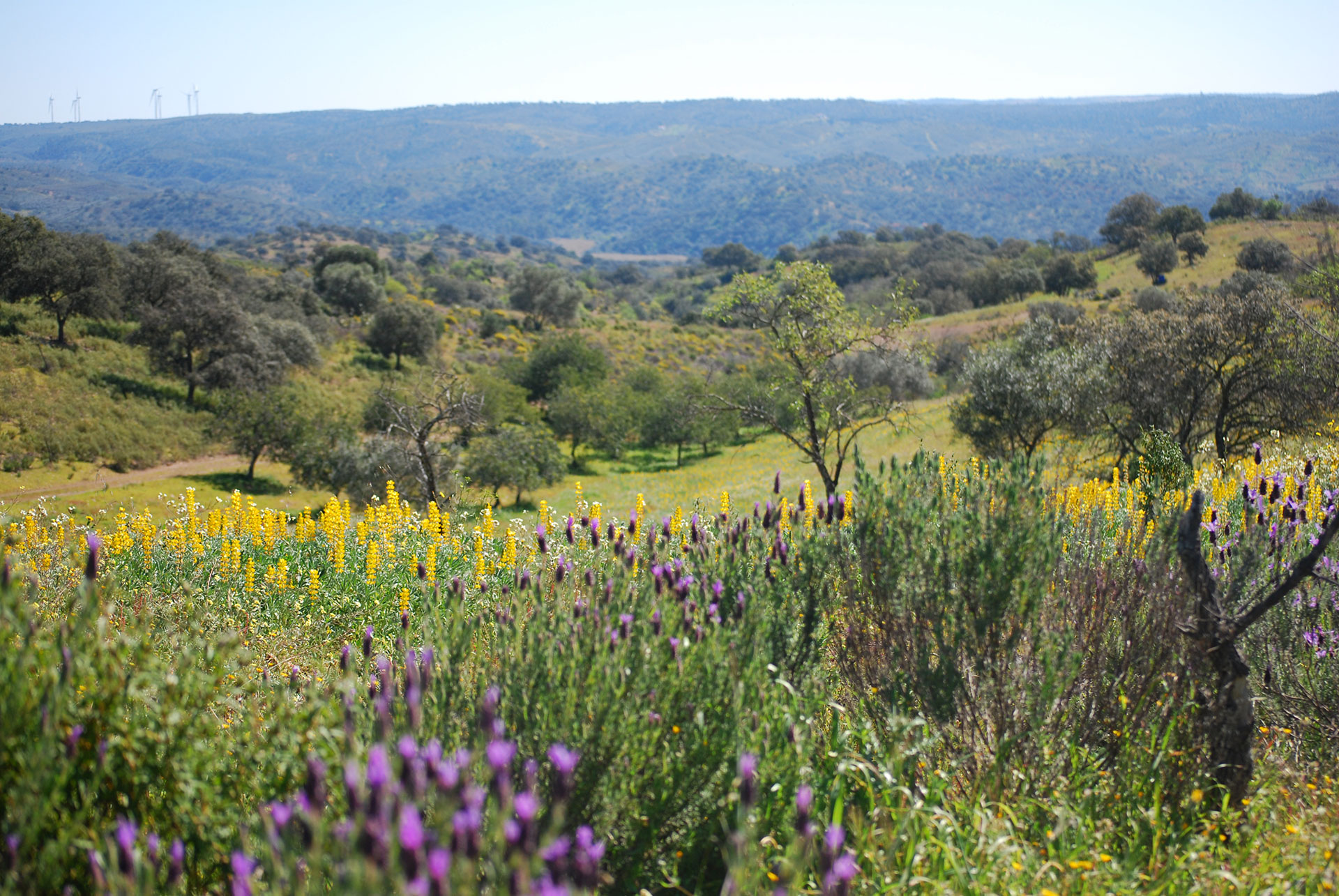 Grande Rota do Guadiana / Walking