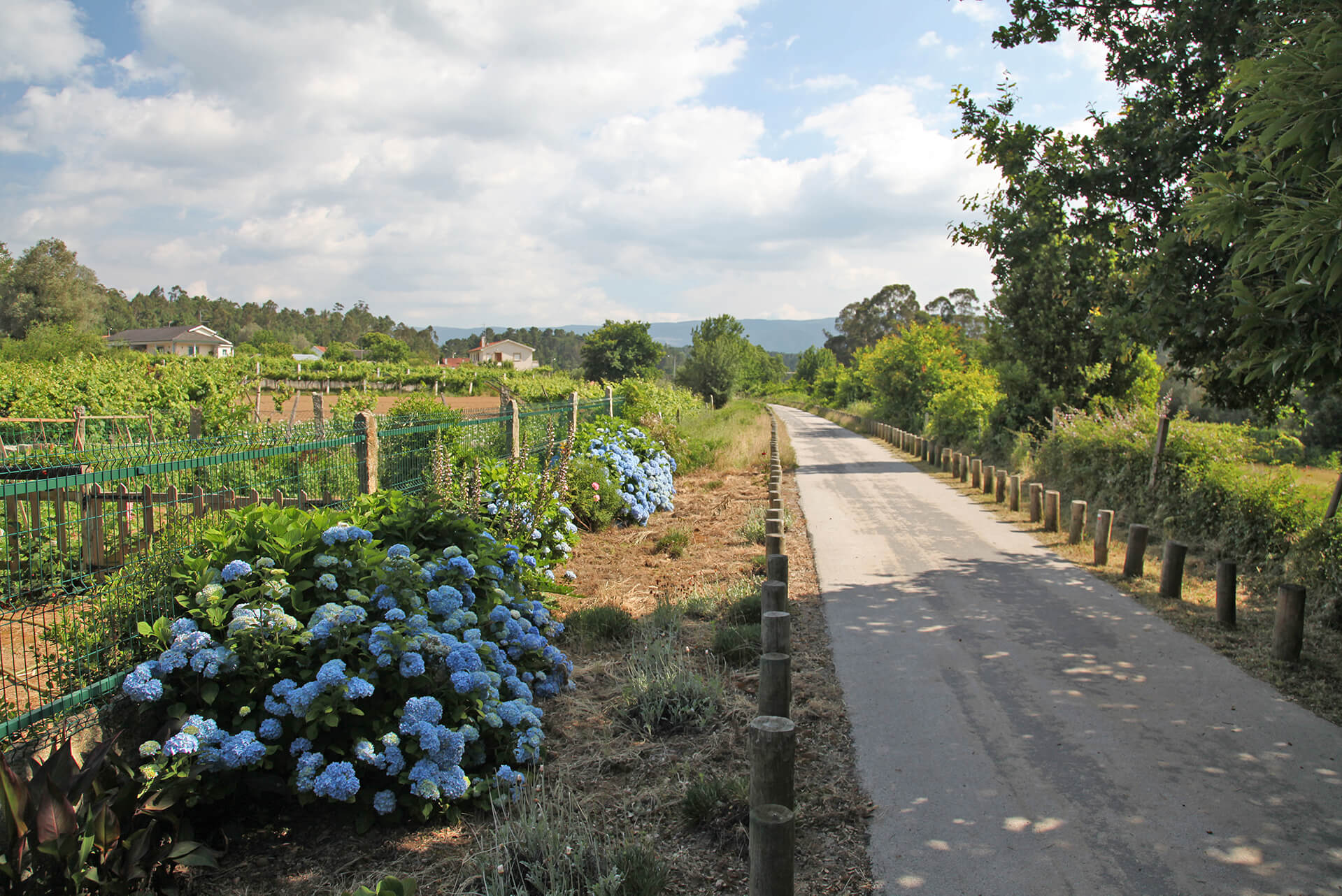 Ecopista do Rio Minho / Walking