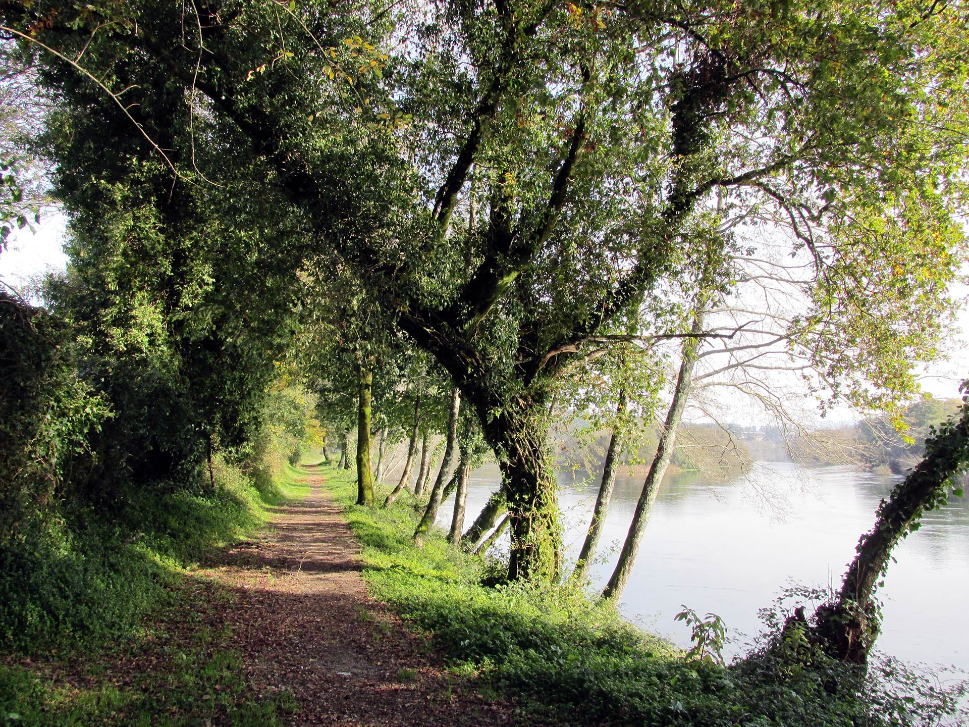 Ecovia do Rio Lima / Cycling