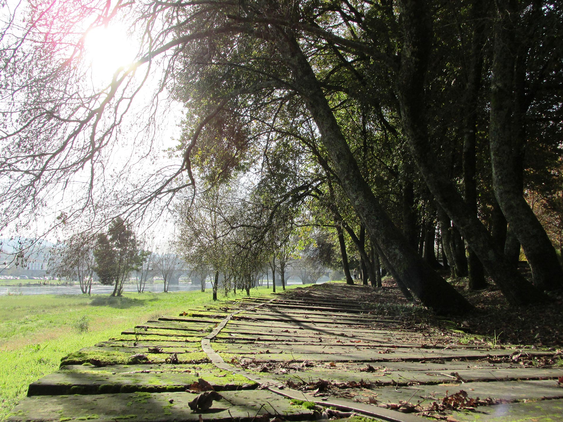 Ecovia do Rio Lima / Walking