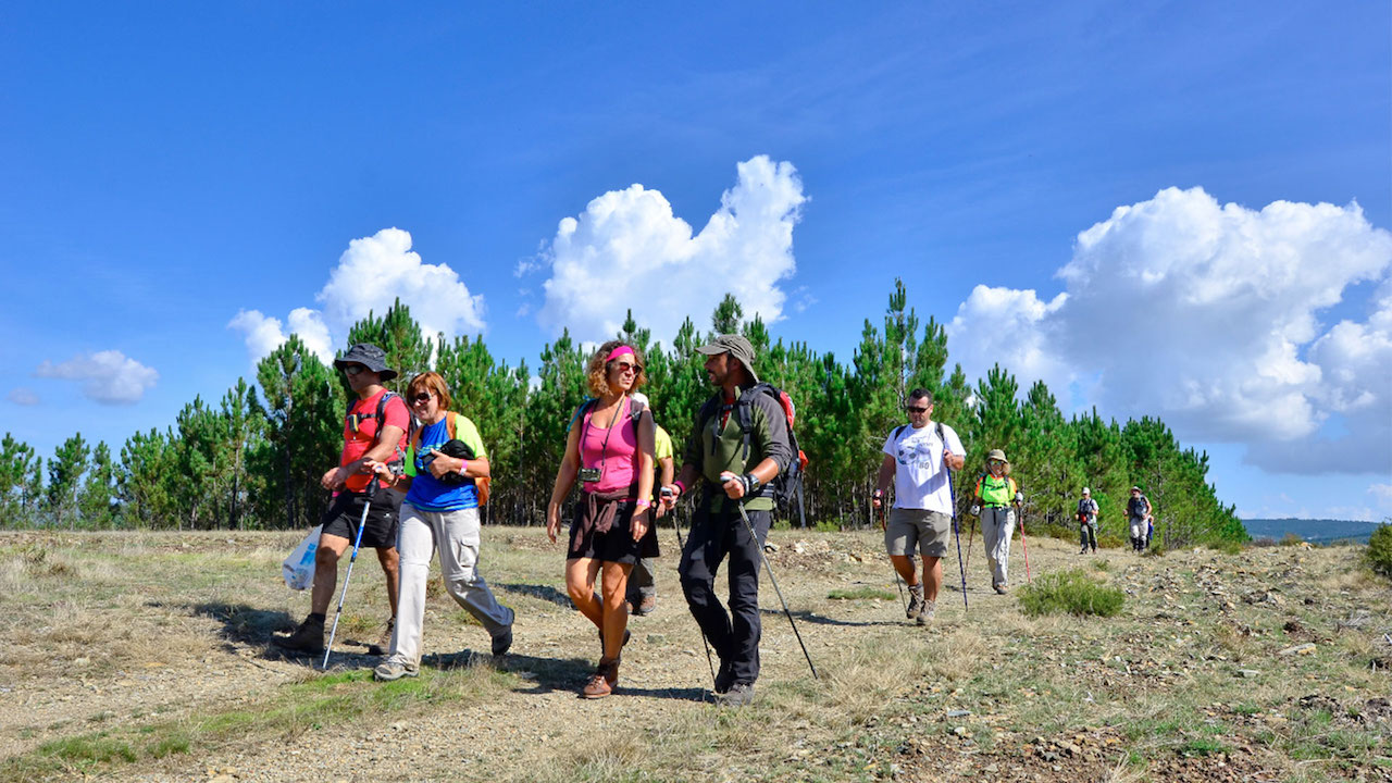 Grande Rota do Côa / Walking