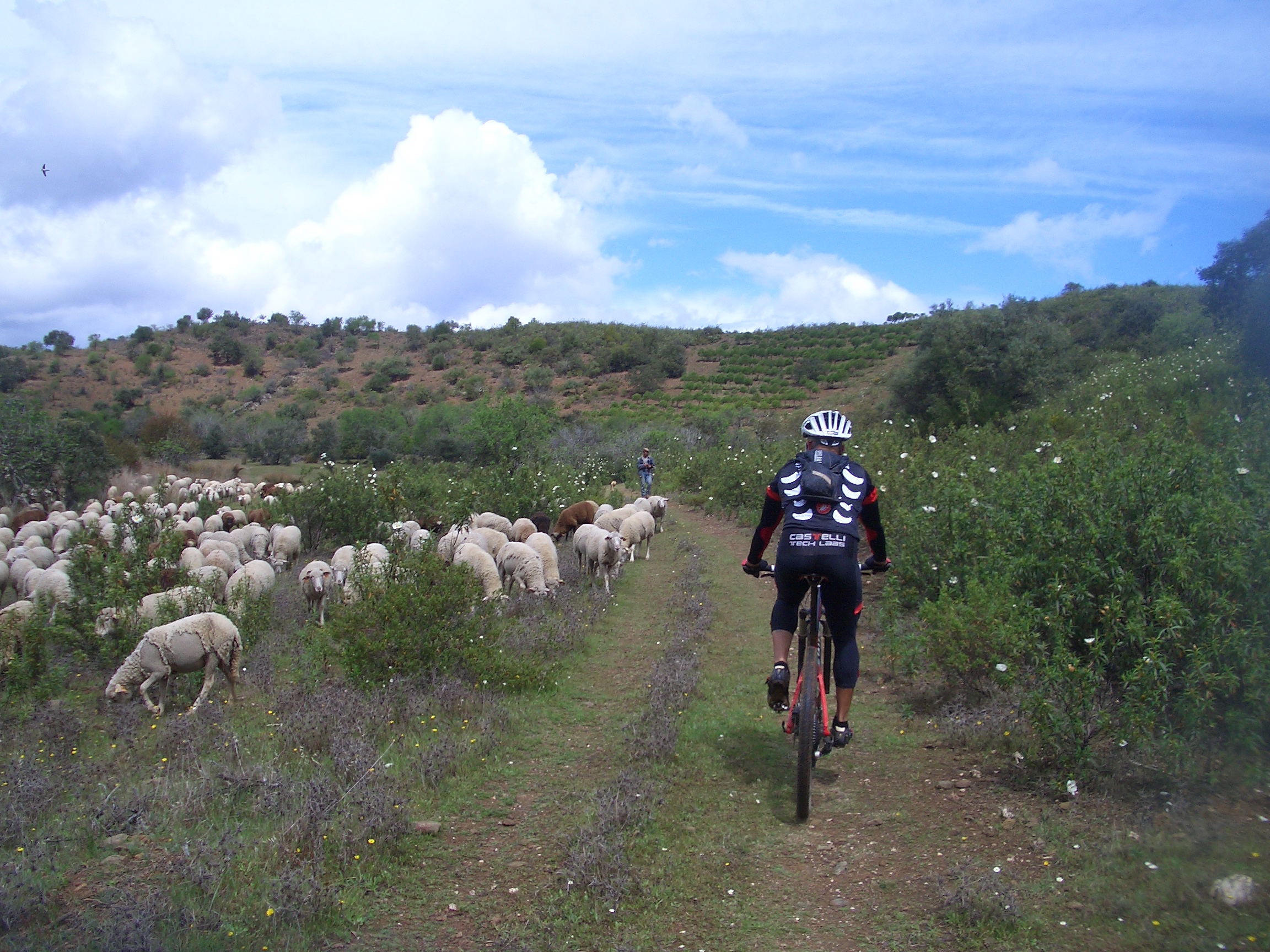 Cycling Via Algarviana by Mountain Bike
