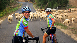Premium Biking Tour in Alentejo and Hills of Algarve - Guided