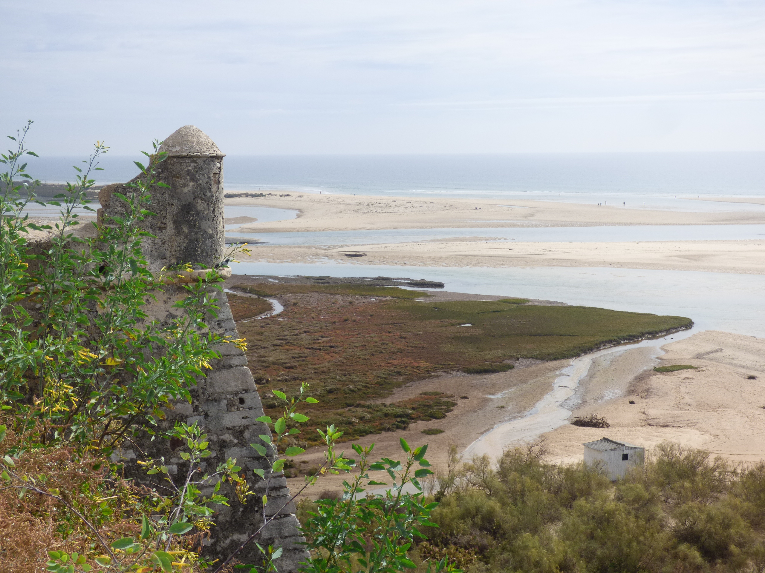 Wild Algarve