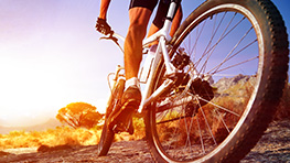 À descoberta de Albufeira a pedalar - Percurso de BTT Messines - Alte