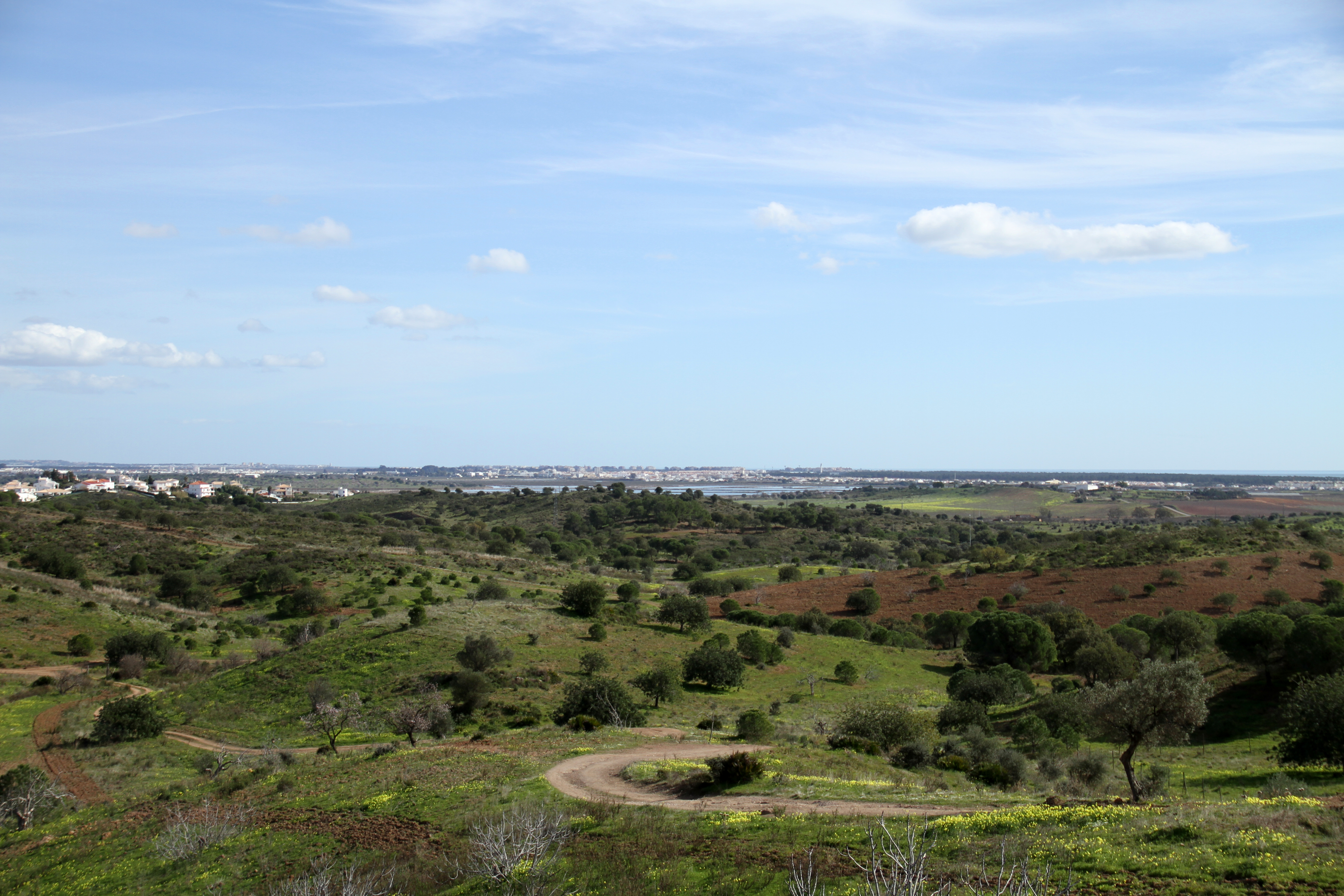 Barrocal, Dunas, Pinhal e Marismas