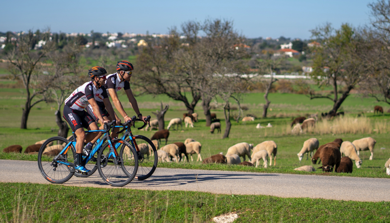 Alentejo Histórico