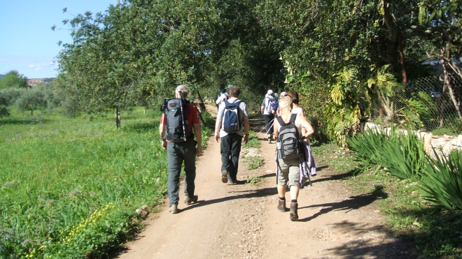 Along the Algarve Way