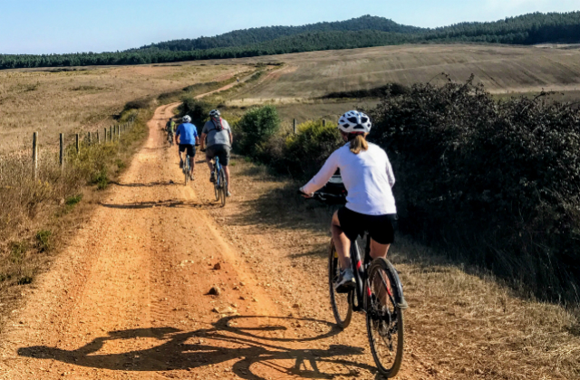 Alentejo Vineyards Cycling 9D