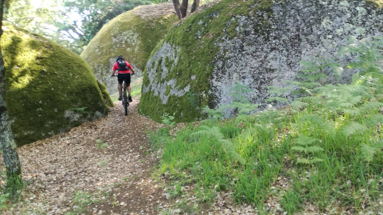 Schwierige Fahrt mit dem Mountainbike