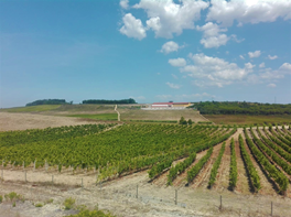 Bairrada