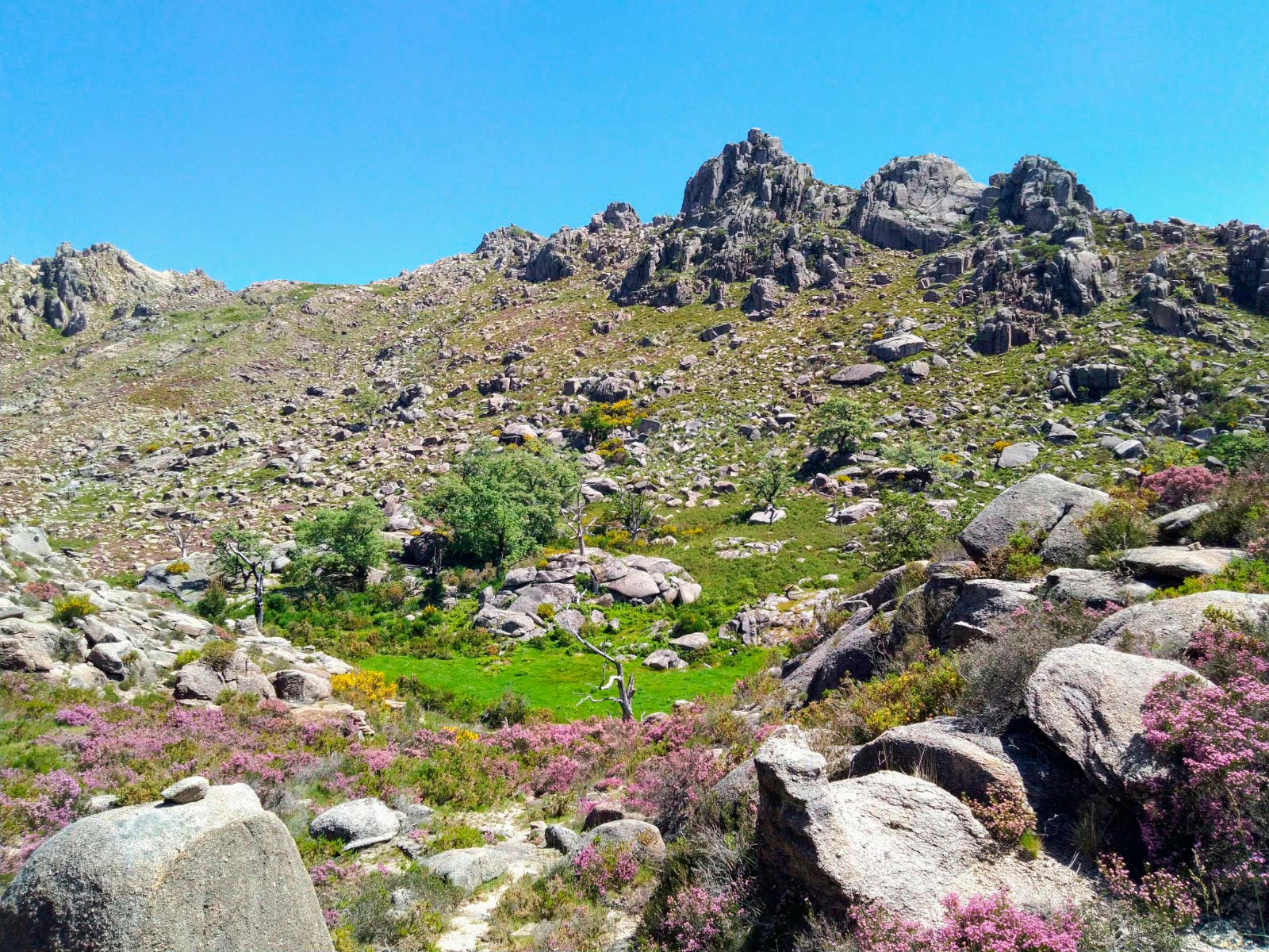 Trekking dos Bicos Altos