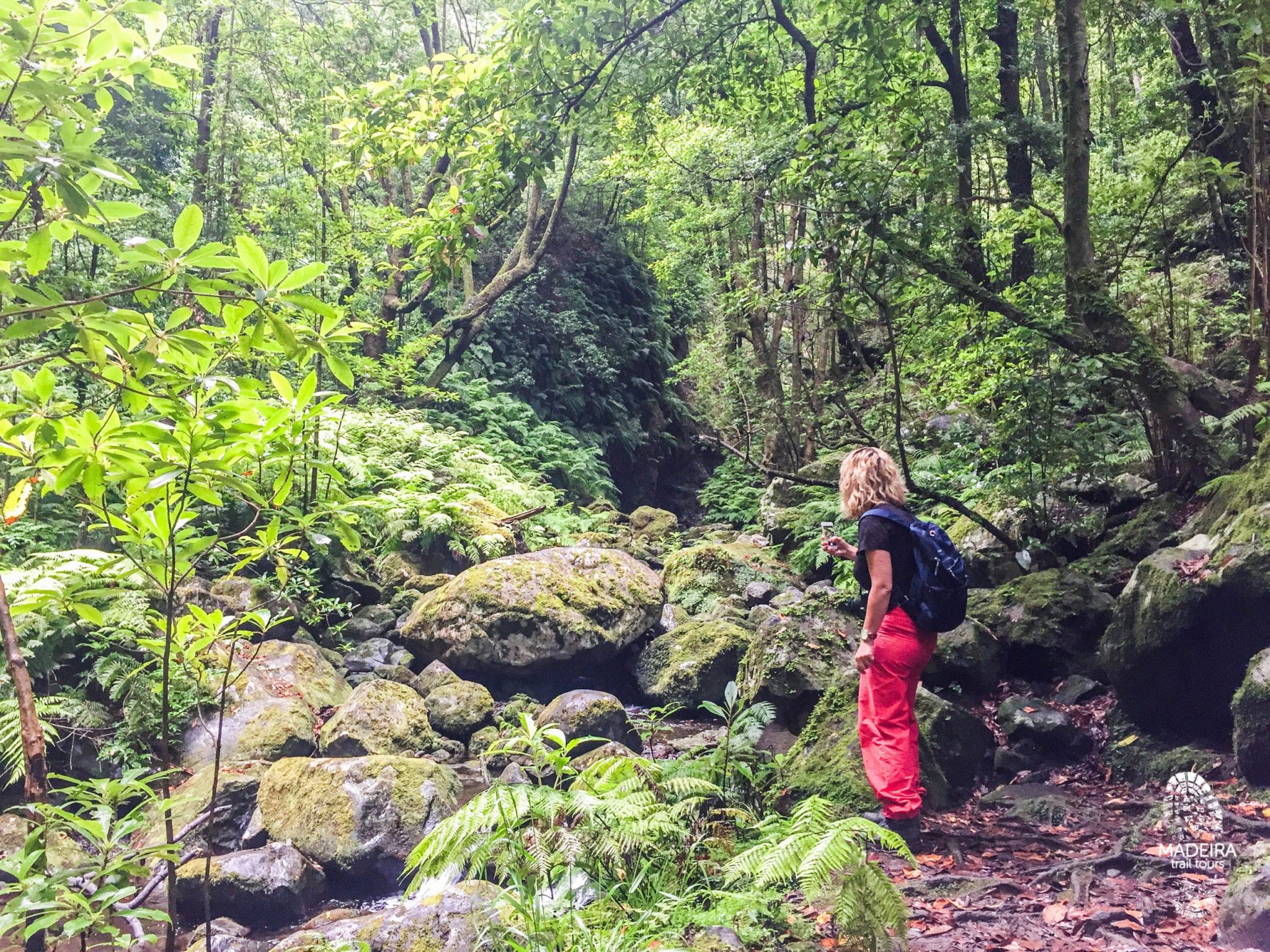 Levada do Rei