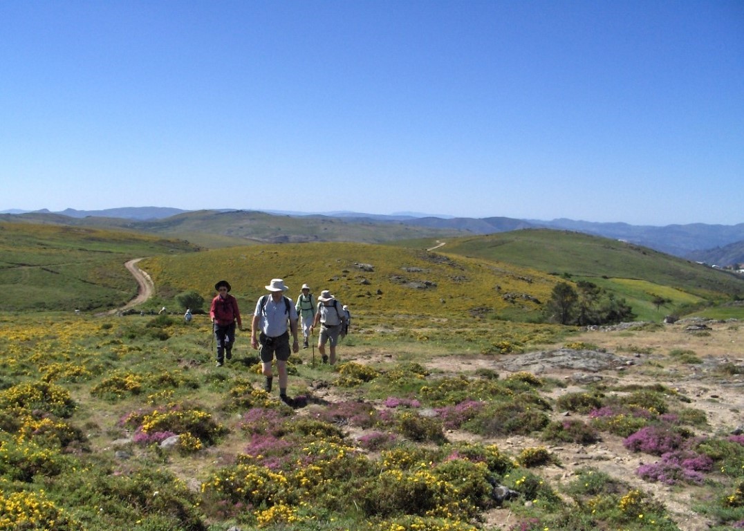 Gerês Selvagem