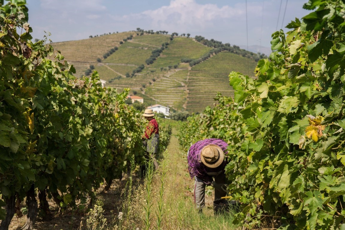 Explorando o Vale do Douro