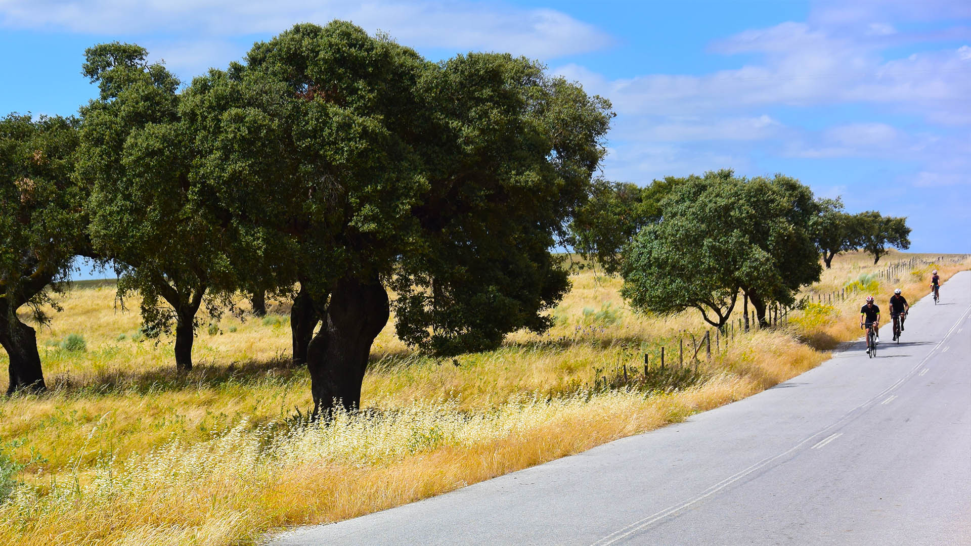Foto_4_Rota_Alentejo_ Cycling