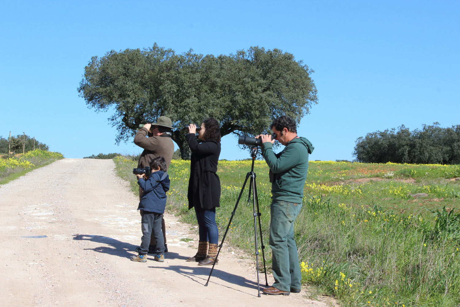 Fotografia de Natureza - Terena