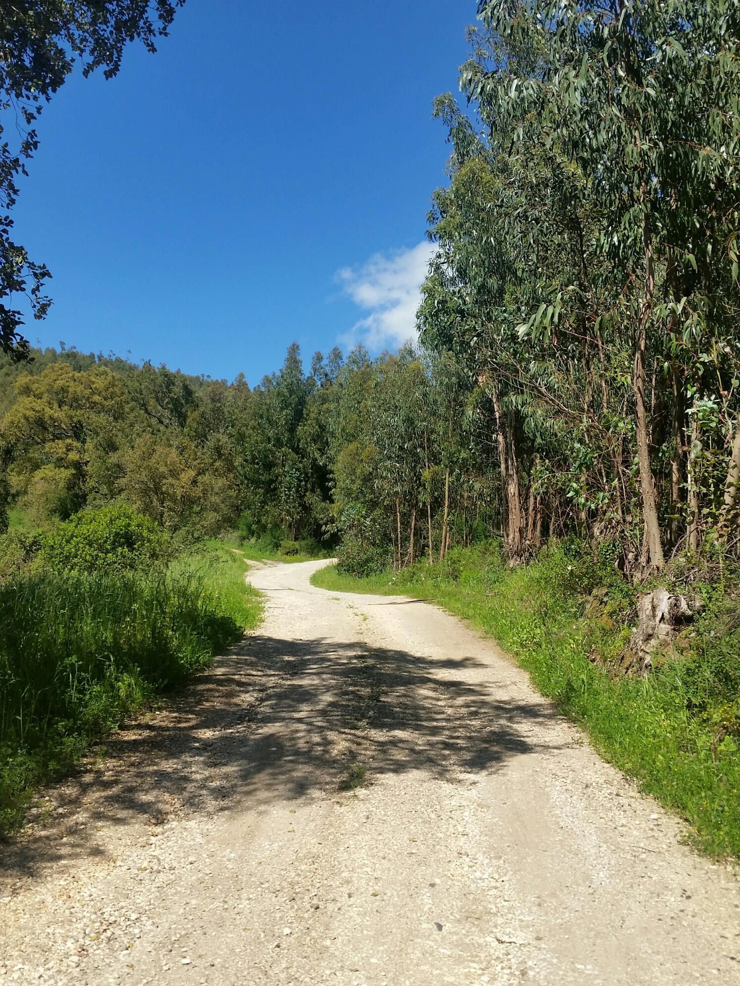 Explore Walking Tour