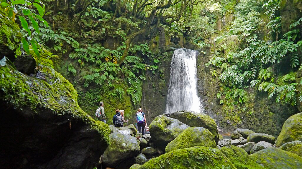 Caminhada Faial da Terra + Passeio Carrinha Nordeste - Dia Inteiro