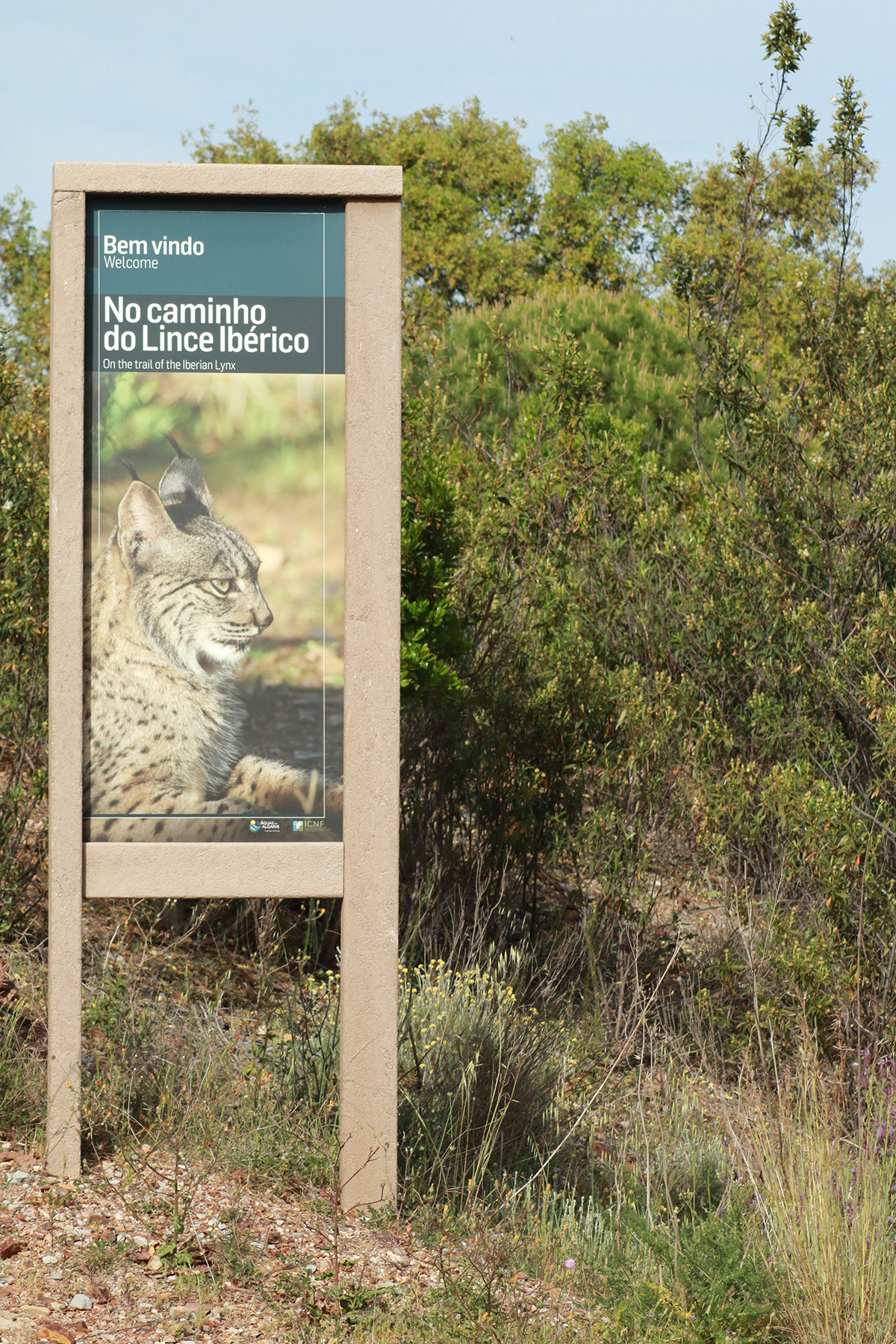 Rota do Lince-ibérico