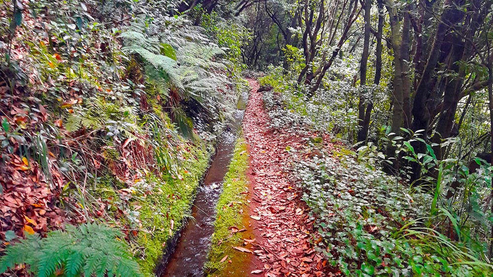 Levada do Moinho