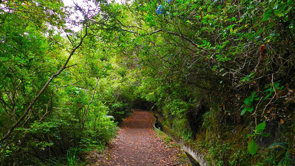 Ribeiro Frio / Portela