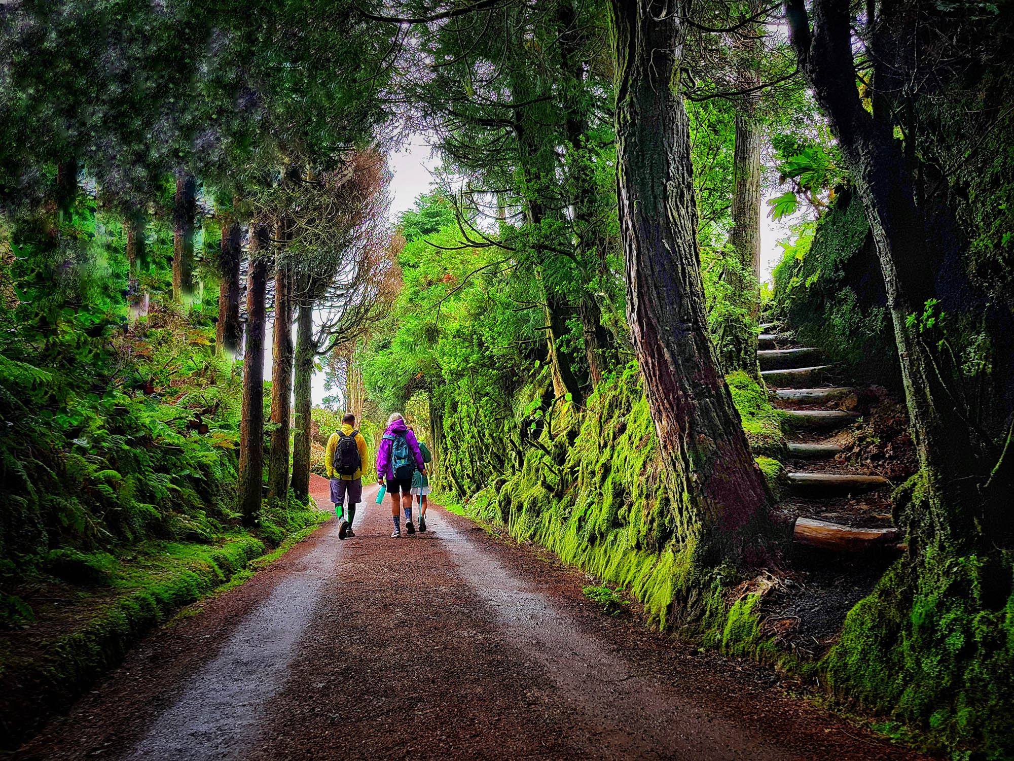 Rota_3_Sete_Cidades