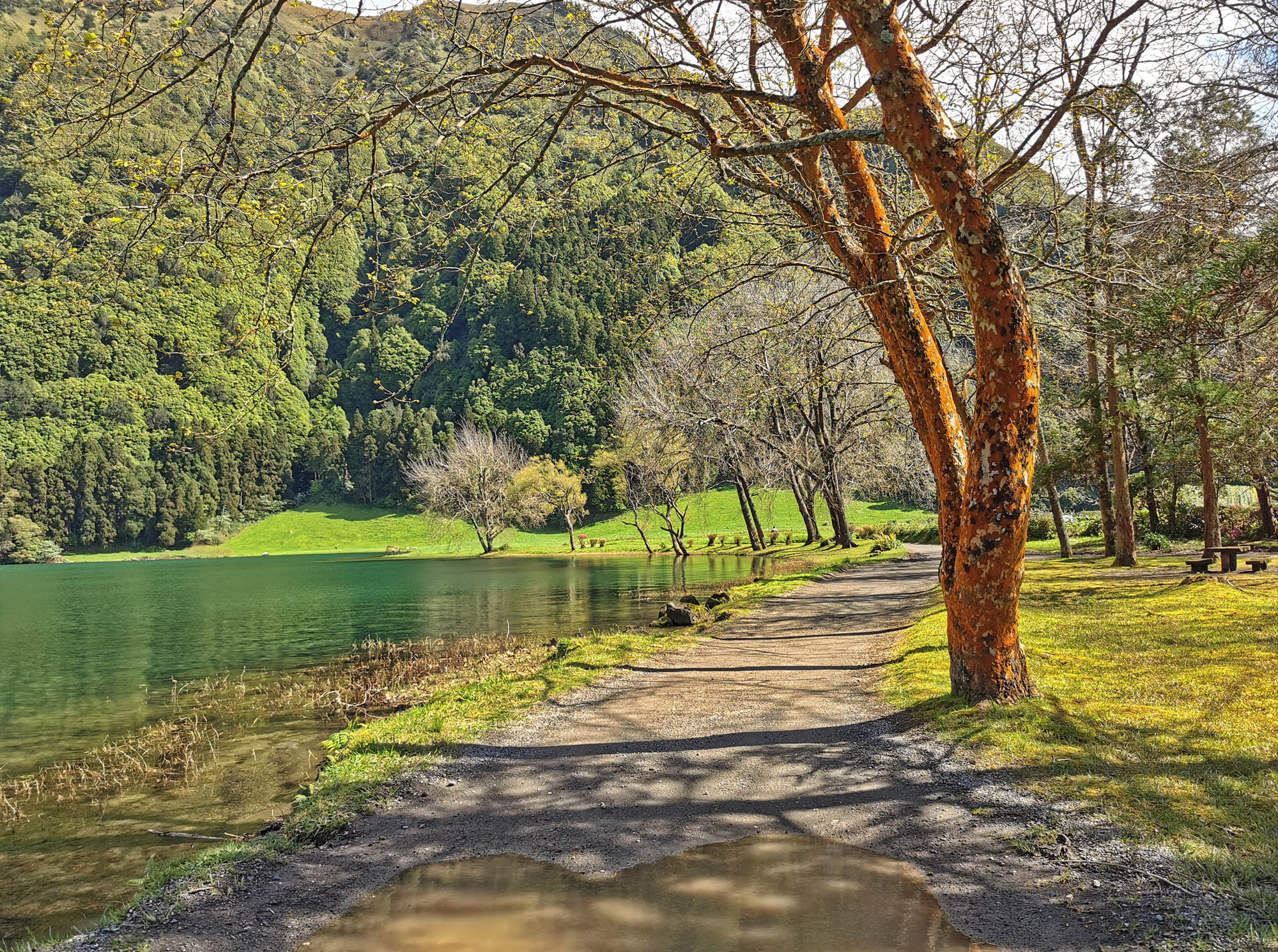 Rota_5_E_MTB_HD_Sete_Cidades