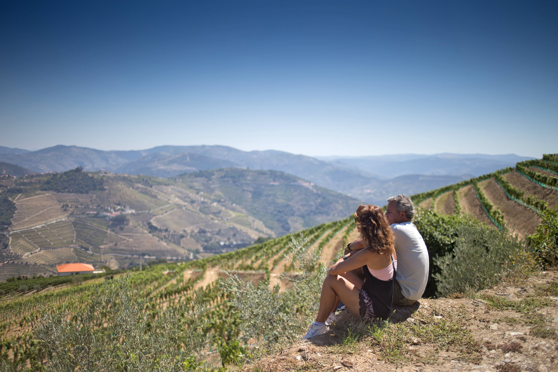 Douro Vinhateiro