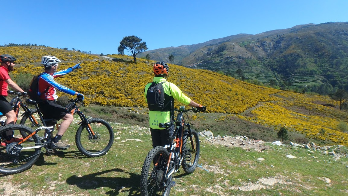 Rota_Serra_Amarela_cycling