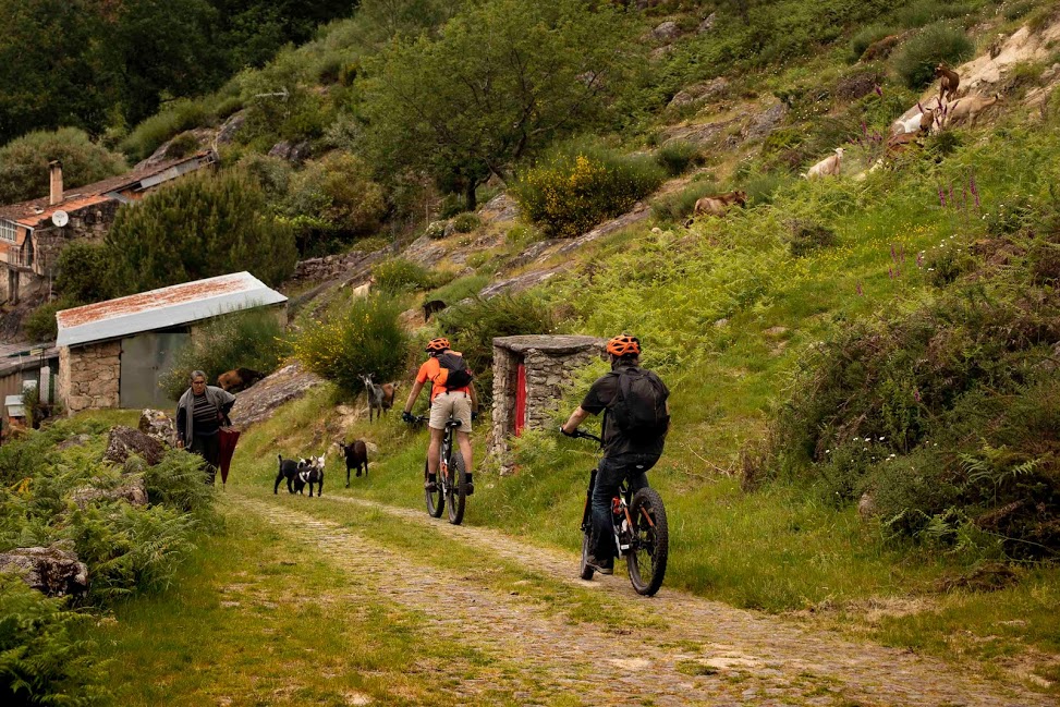 Rota_Standard_Tour _cycling