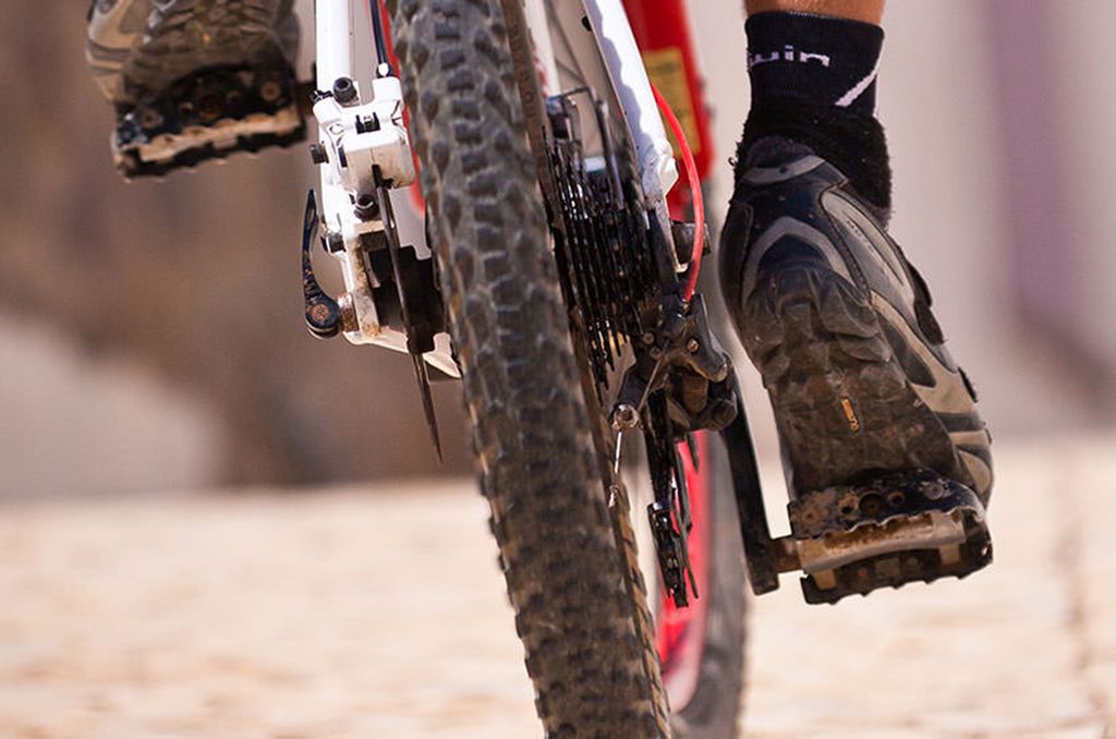 Safari de BTT 