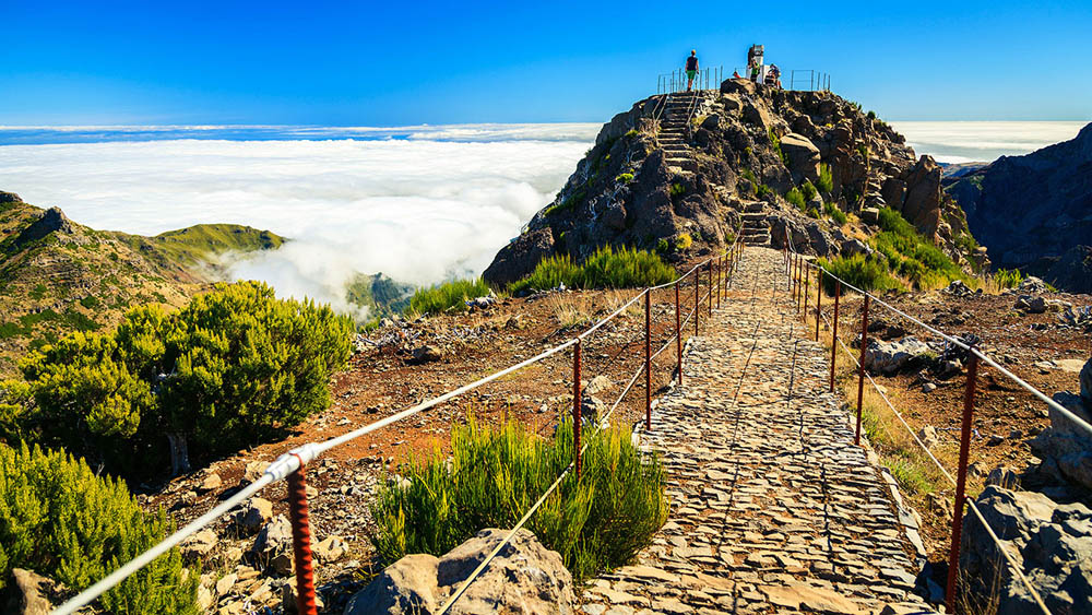 Picos da Madeira
