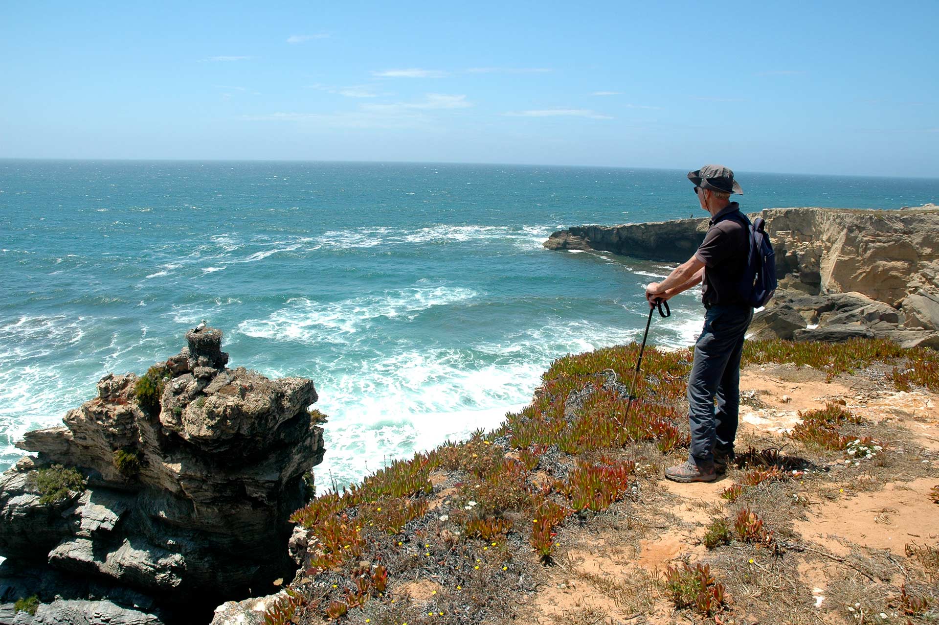 Entre o Campo e o Mar