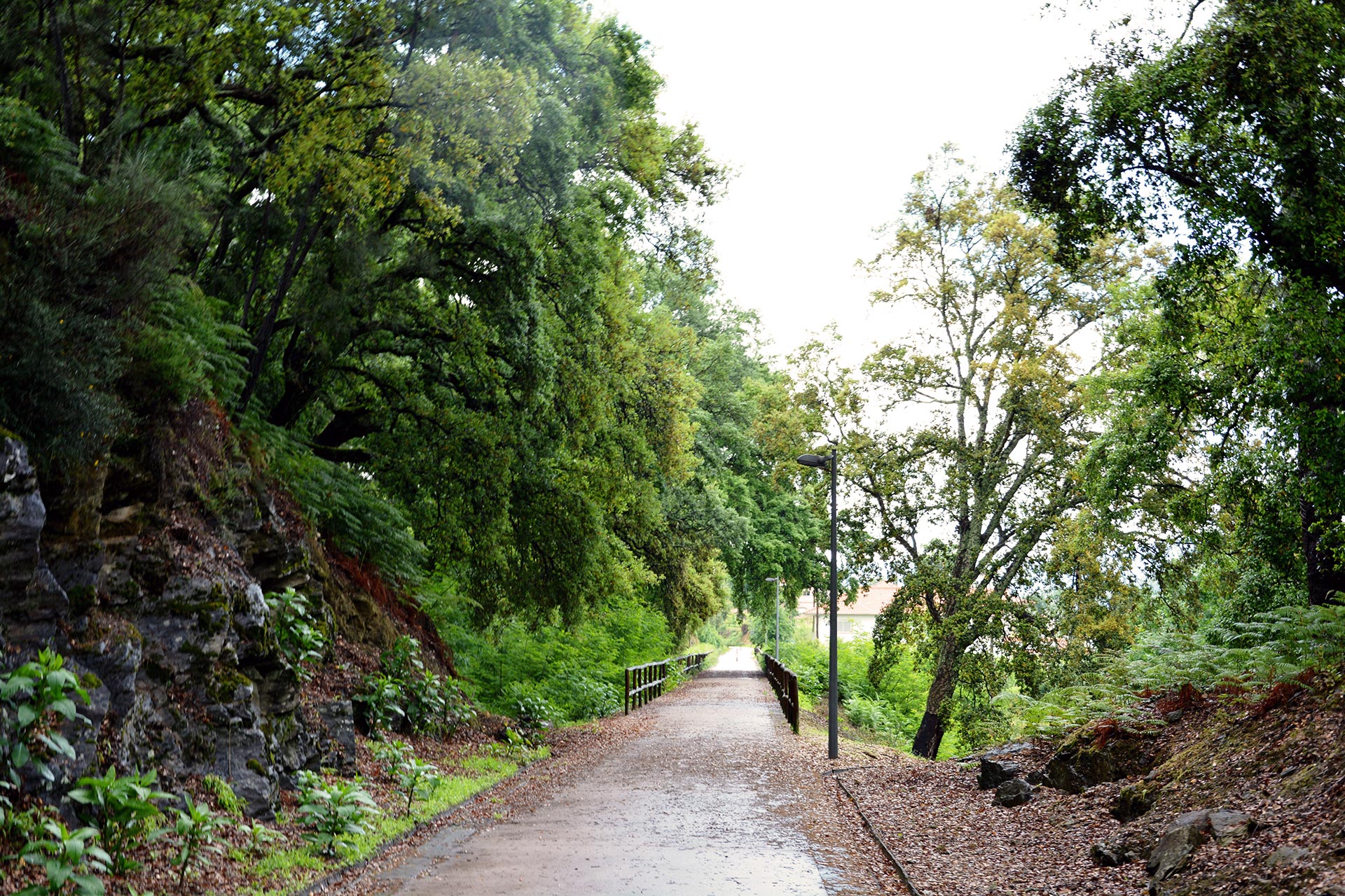 Ecopista do Tâmega / Walking Portuguese Trails