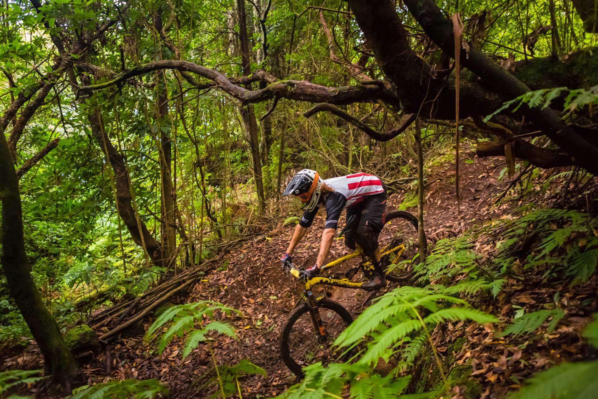 Centro de Cyclin Portugal do Porto Moniz - Madeira - Percurso 7 - Chã da Toca - ENDURO