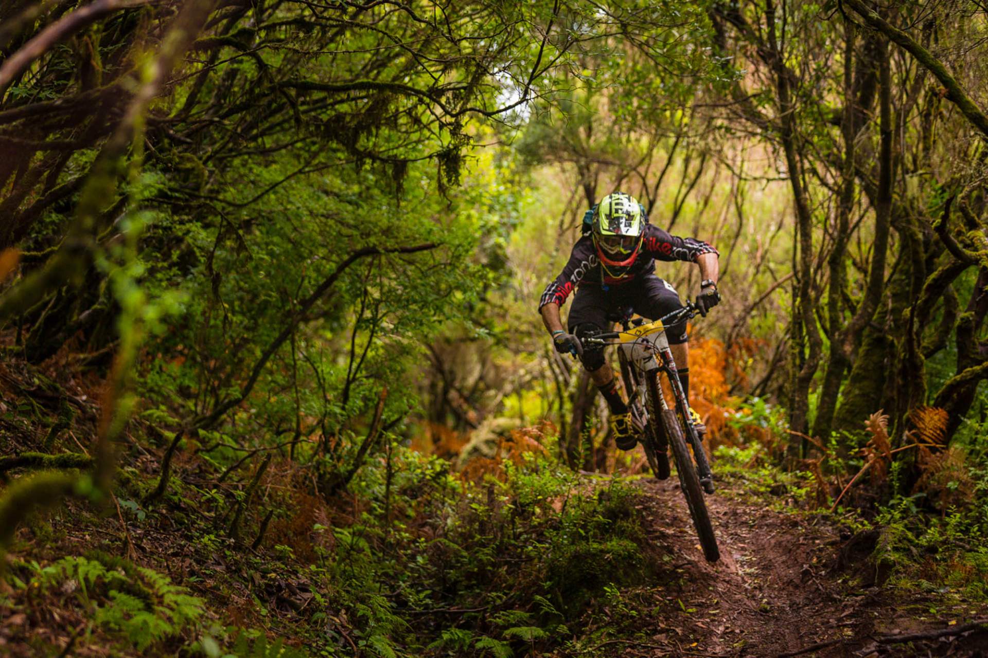 Centro de Cyclin Portugal do Porto Moniz - Madeira - Percurso 8 - Tranquada - ENDURO