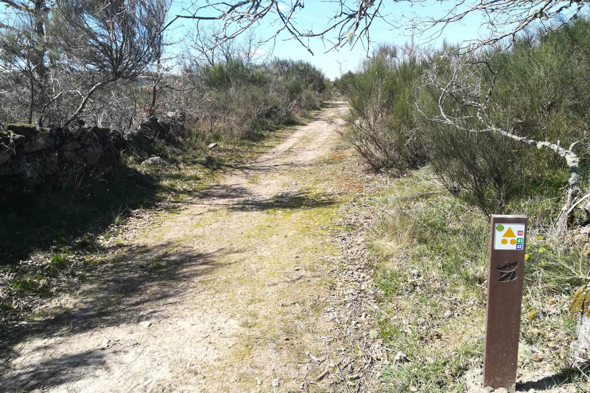 Centro de BTT Montemuro - Percurso 42 - Azul