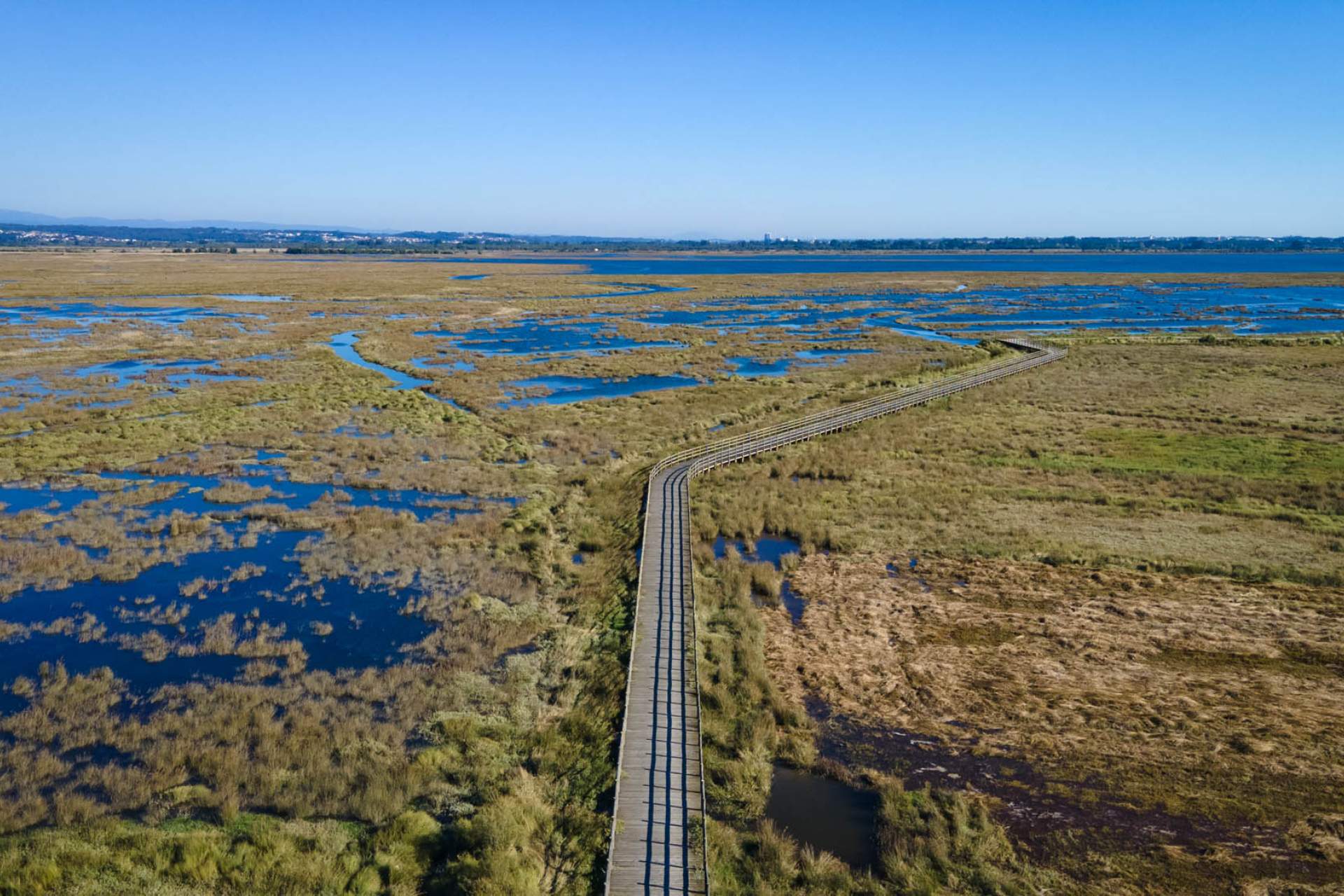 Esteiro de Salreu (Estarreja) » Cais da Béstida (Murtosa)