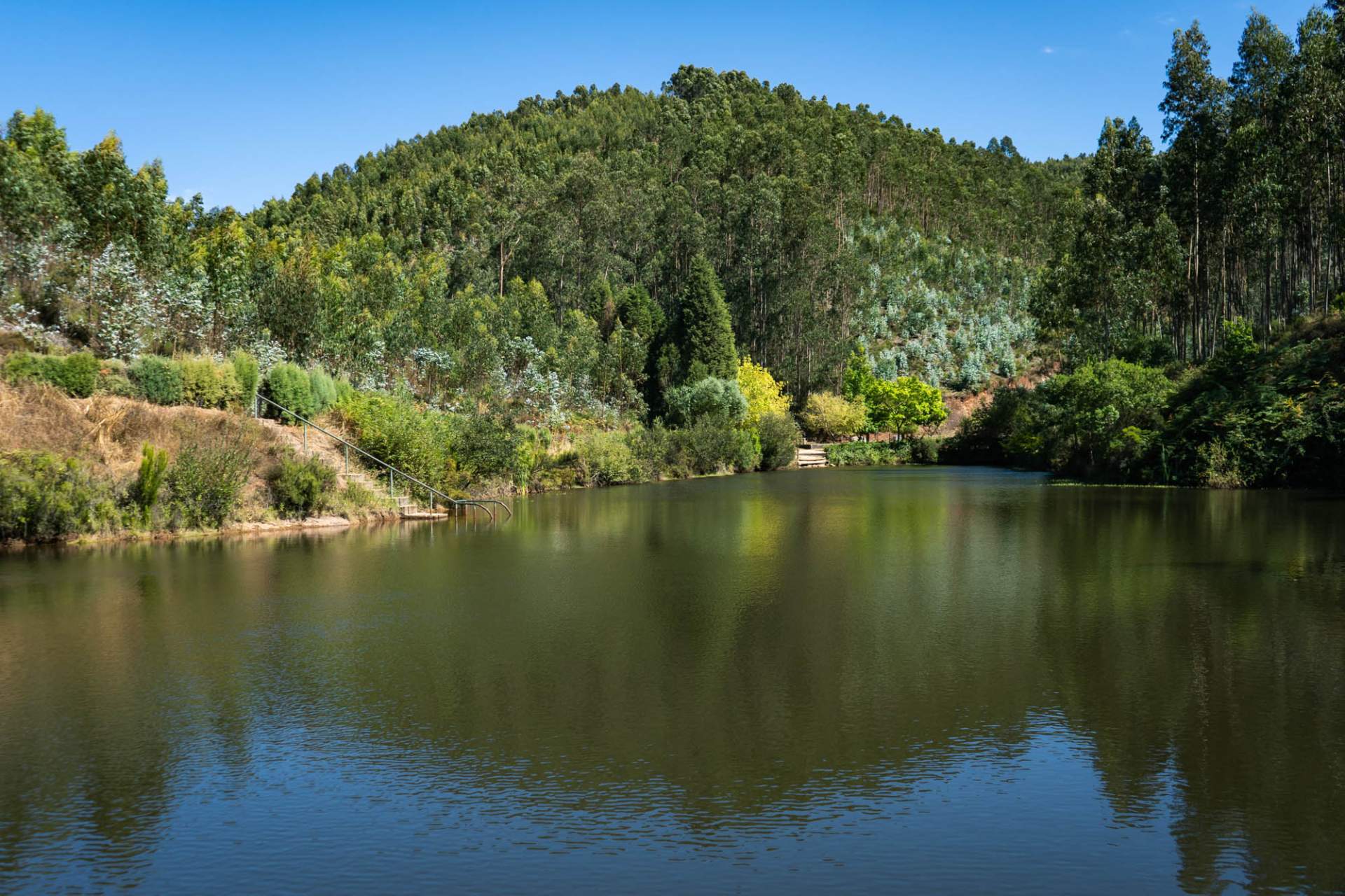 Águeda (centro) » Anadia (centro)