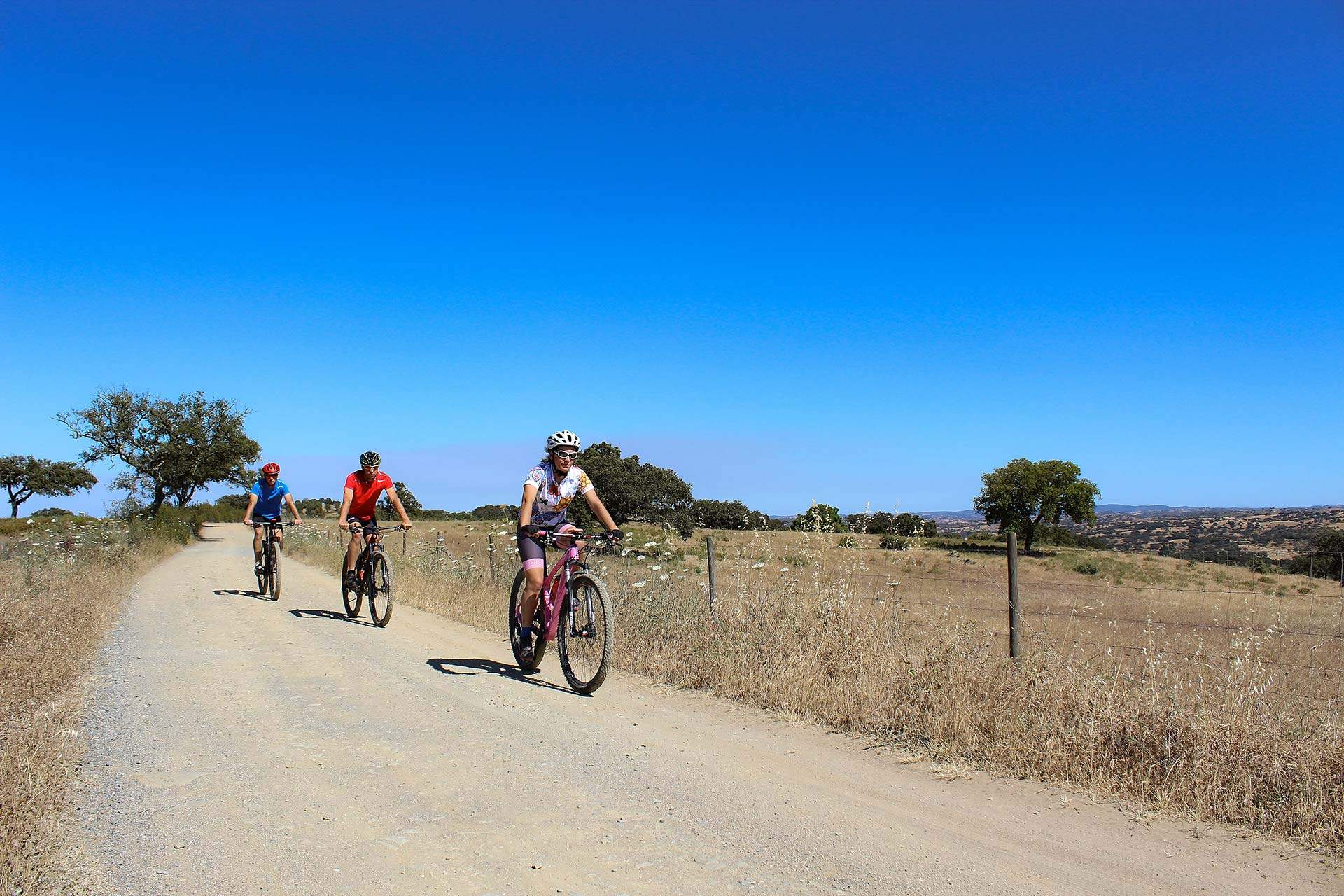 Centro Cycling'Portugal de Almodôvar - Percurso 62 Almodôvar - 2 Azul