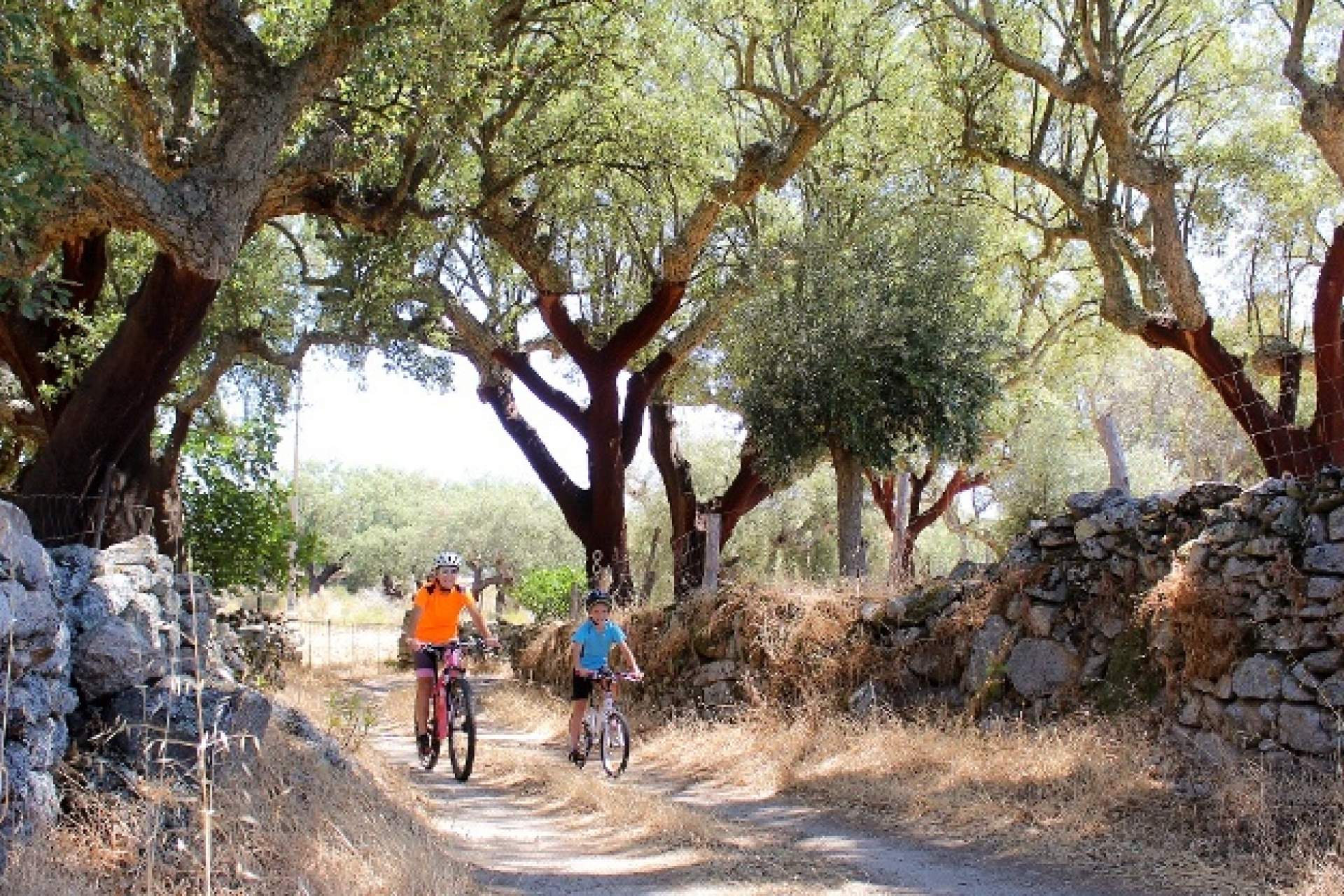 Centro Cycling'Portugal de Castelo de Vide / Marvão - Percurso 12 Beirã - Azul