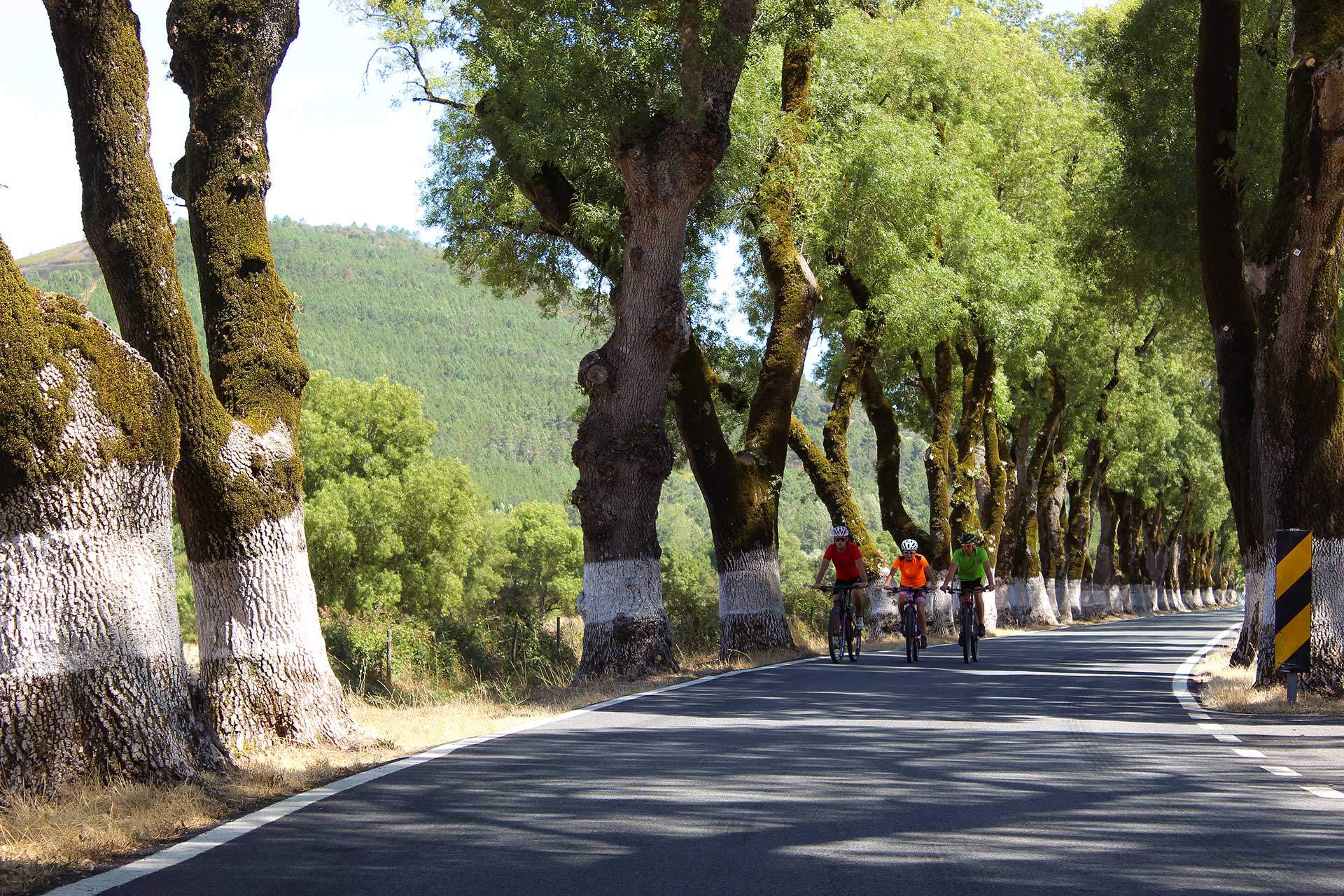 Centro Cycling'Portugal de Castelo de Vide / Marvão - Percurso 14 Beirã - Vermelho
