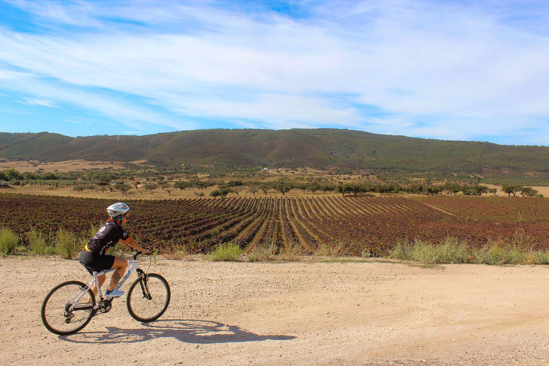 Centro Cycling'Portugal da Serra D’Ossa - Percurso 22 Borba - Vermelho
