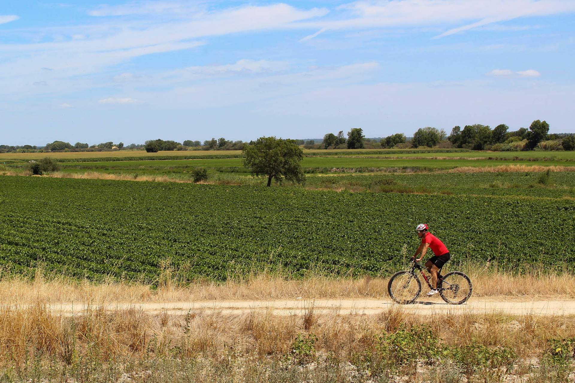 Centro Cycling'Portugal da Erra - Coruche - Percurso 13 Erra - Vermelho