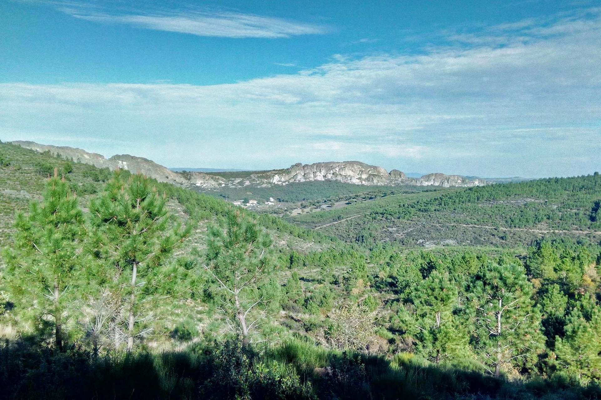 Centro Cycling'Portugal de Castelo de Vide / Marvão - Percurso de Ligação 1 (BTT XC)