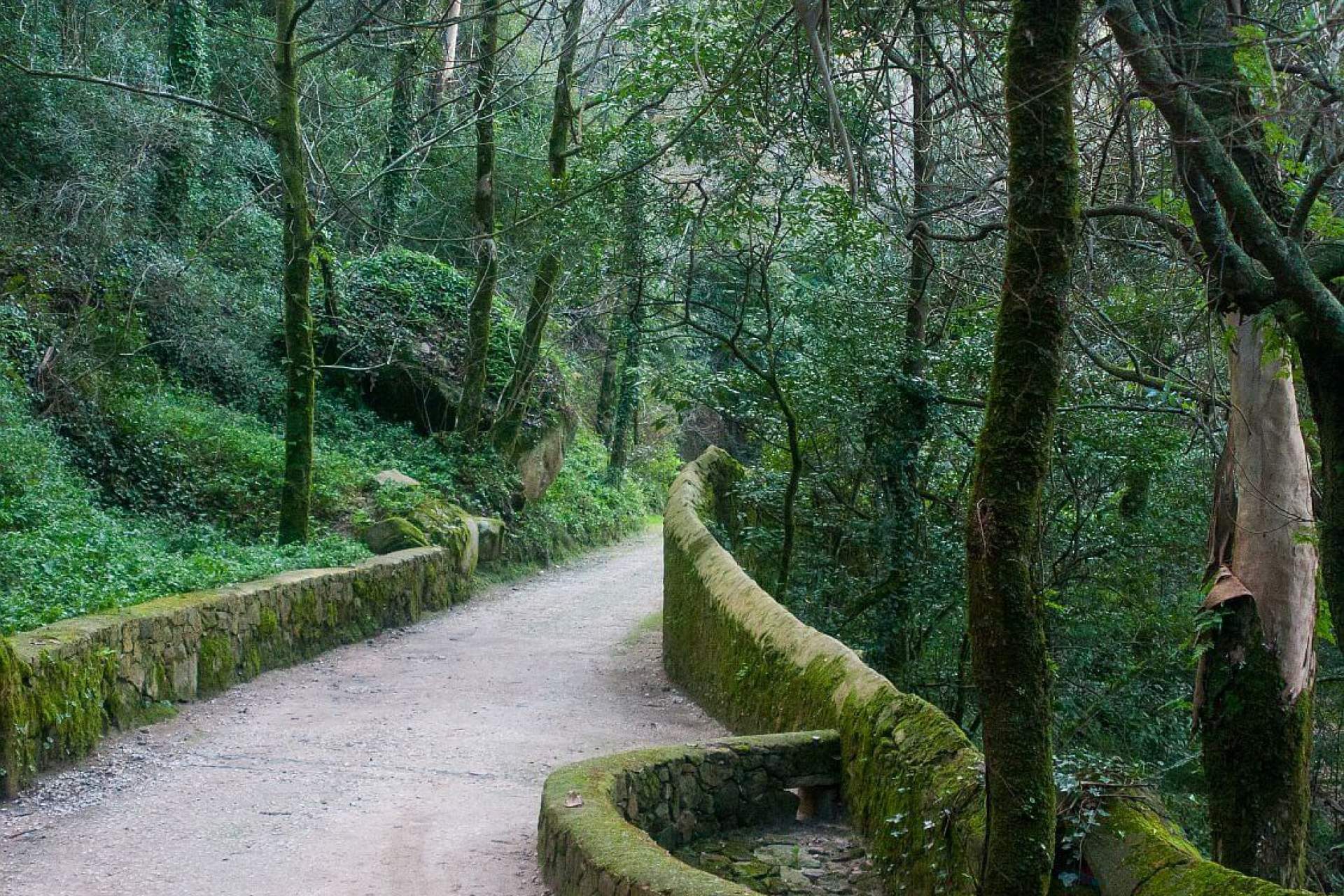 PR2/3 SNT Pena e Mouros - Parque Natural de Sintra-Cascais