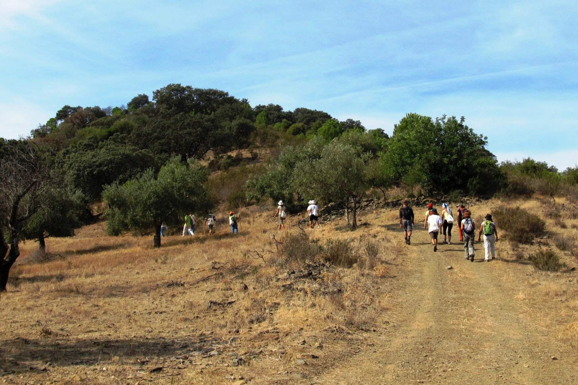 PR10 CTM - Percurso Pedestre "Barrancos" / Walking