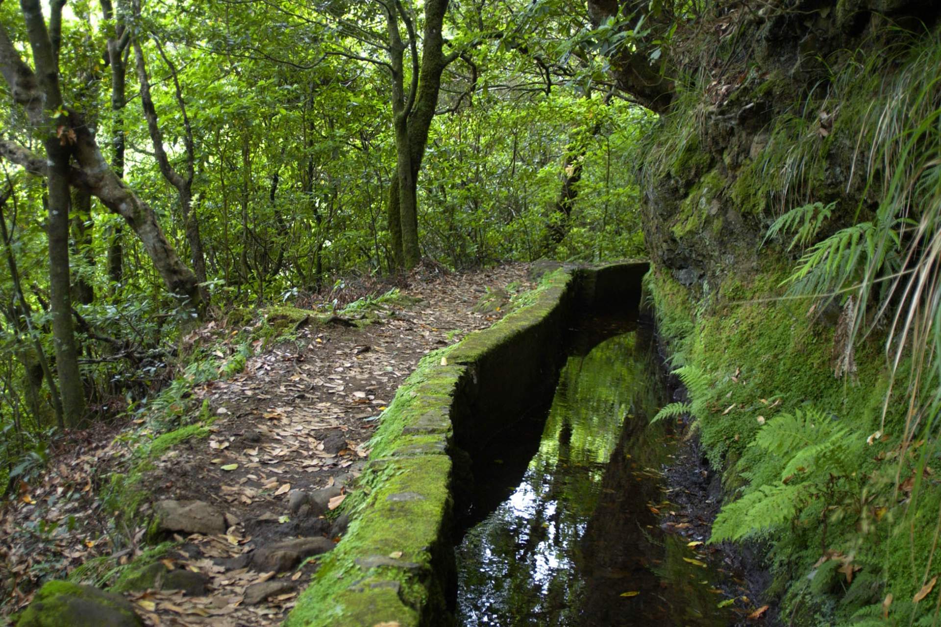 Levada do Furado